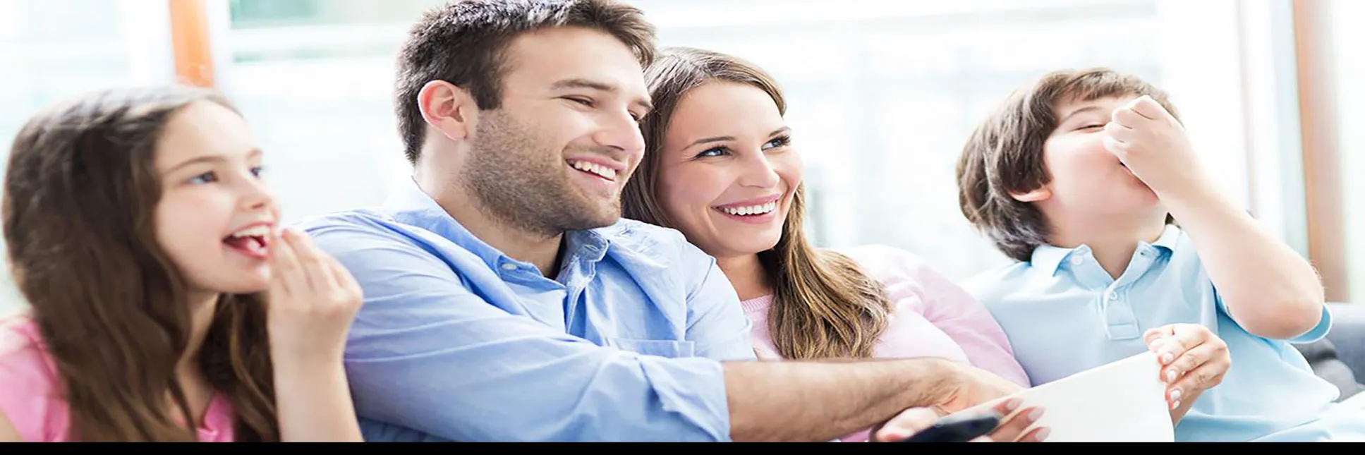 Domestic Digital Services