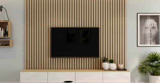 TV wall mount service